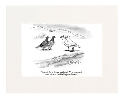 Thanks for a lovely weekend.  Now you must come visit us in Washington Square. (Two pigeons to two seagulls.)
