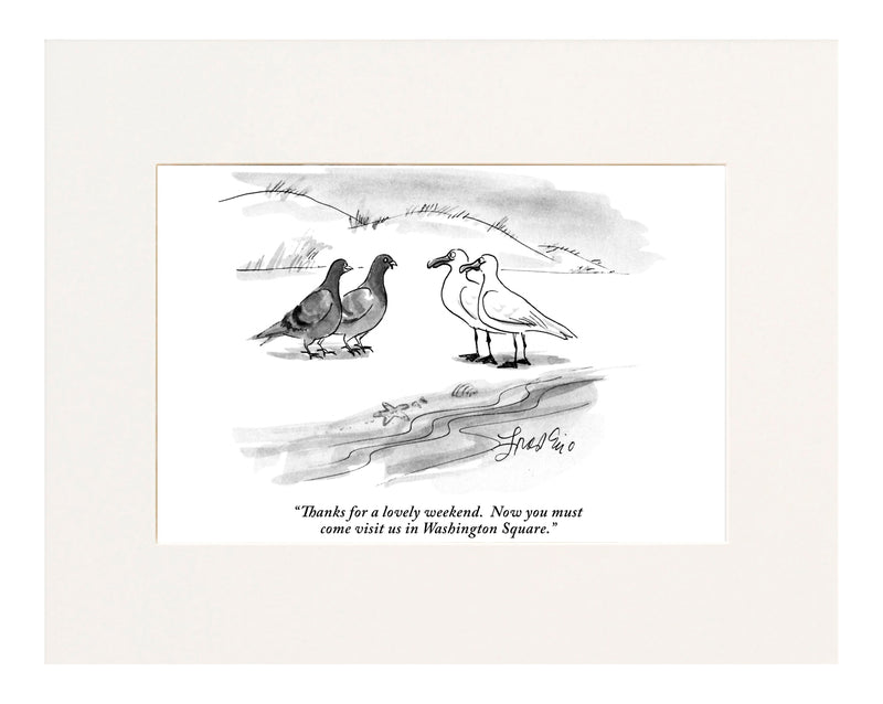 Thanks for a lovely weekend.  Now you must come visit us in Washington Square. (Two pigeons to two seagulls.)