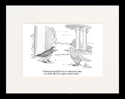 American, Bird, Rufous Sided Towhee Cartoon Print