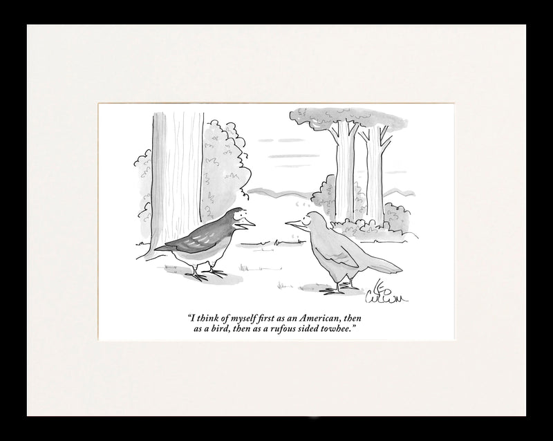 American, Bird, Rufous Sided Towhee Cartoon Print